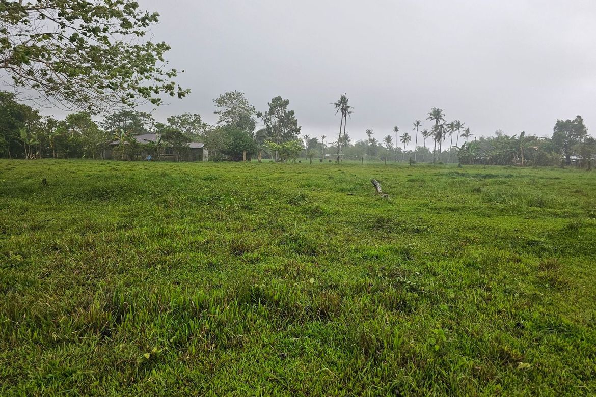 Land for Sale in Ubay, Bohol