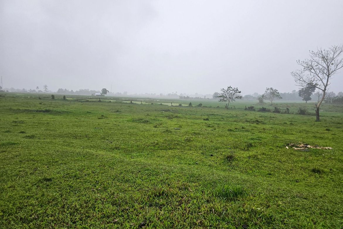 Land for Sale in Ubay, Bohol – photo 2