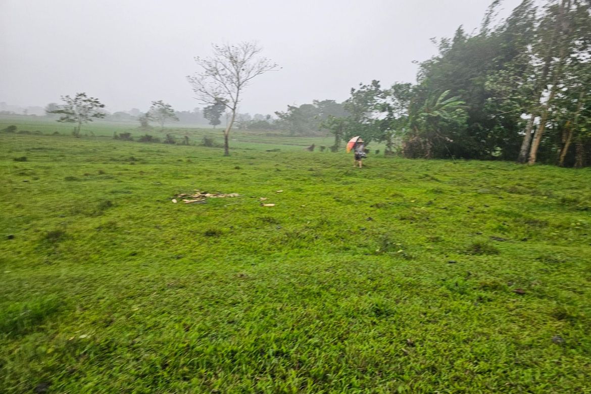 Land for Sale in Ubay, Bohol – photo 5