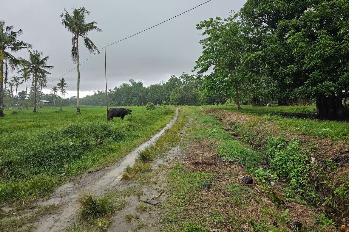 Land for Sale in Ubay, Bohol – photo 7