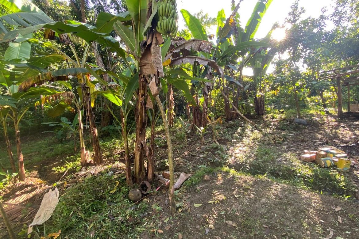 Land for Sale in Ubujan, Tagbilaran, Bohol – photo 2