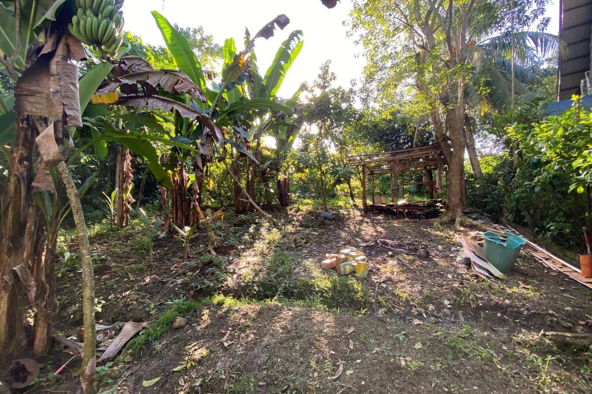 Land for Sale in Ubujan, Tagbilaran, Bohol – photo 5