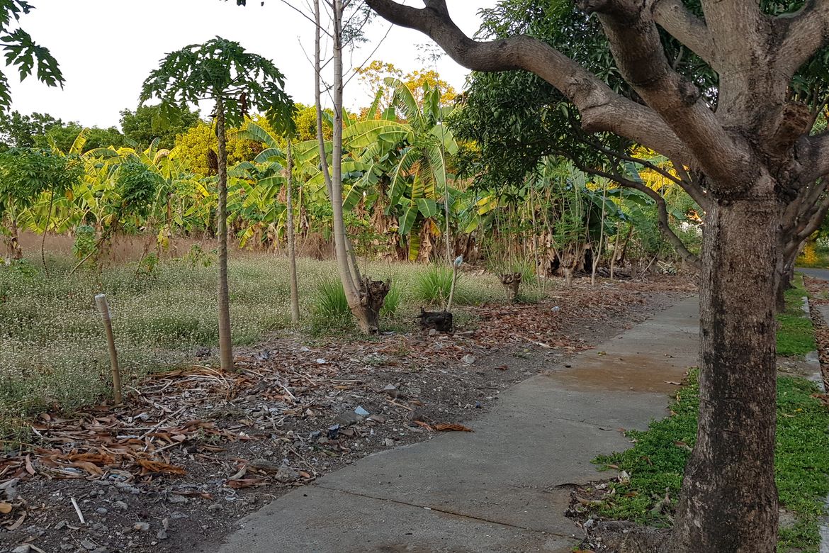 Land for Sale in Ugong Norte, Quezon City, Metro Manila – photo 4
