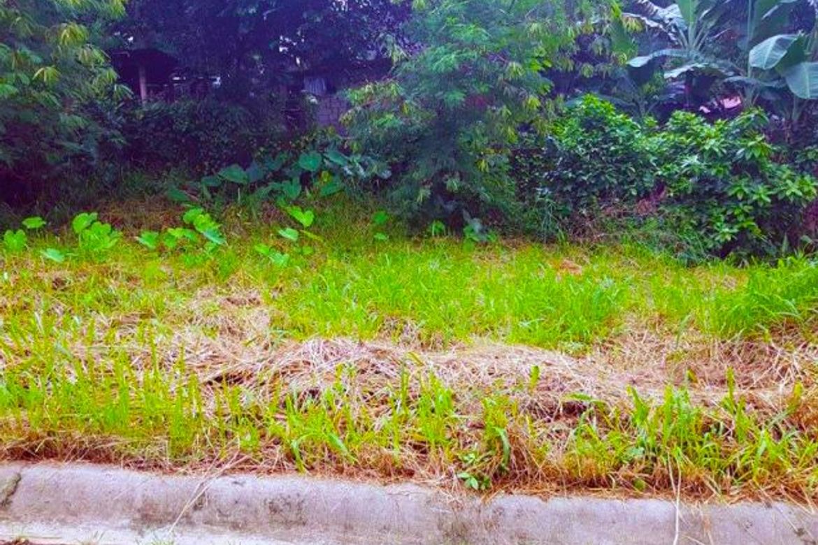 Land for Sale in Ugong Norte, Quezon City, Metro Manila