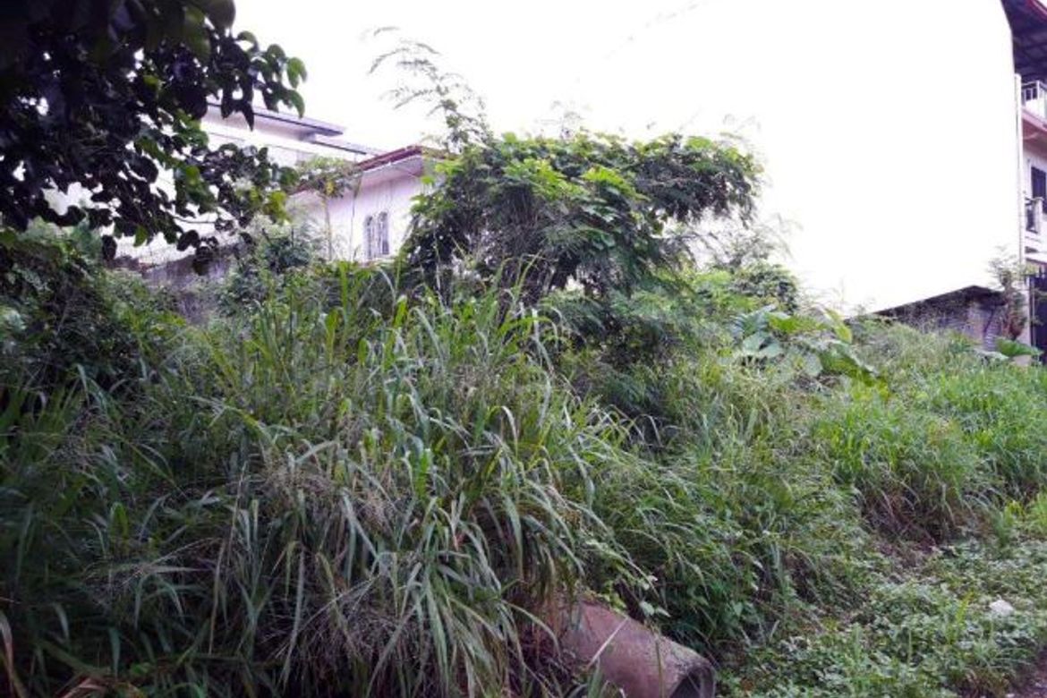 Land for Sale in Ugong Norte, Quezon City, Metro Manila – photo 4