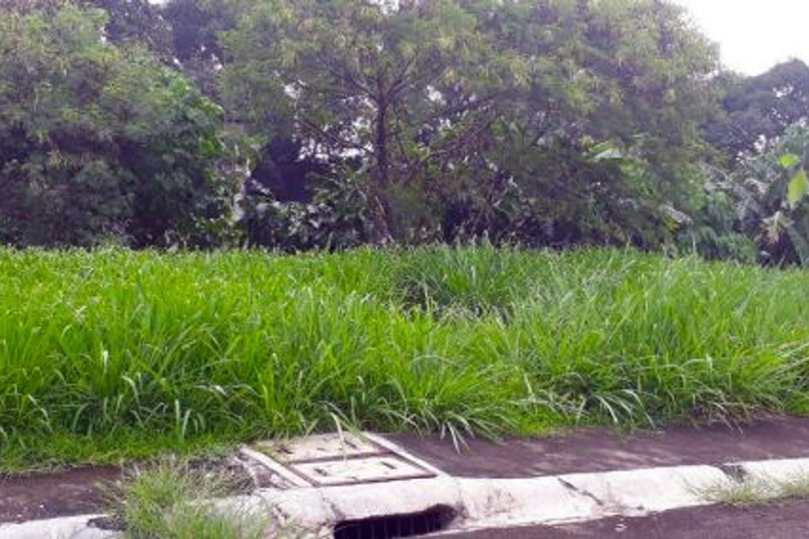 Land for Sale in Ugong Norte, Quezon City, Metro Manila – photo 6