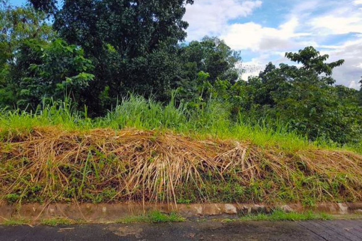 Land for Sale in Ugong Norte, Quezon City, Metro Manila – photo 8