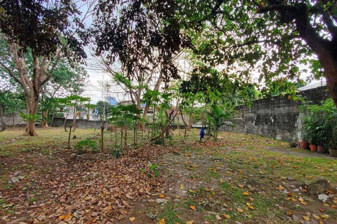 Land for Sale in Ugong, Pasig, Metro Manila