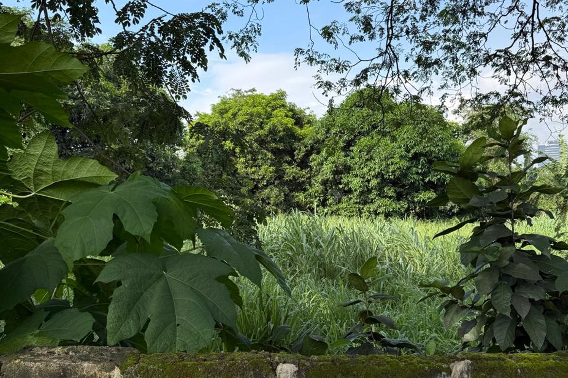Land for Sale in Ugong, Pasig, Metro Manila – photo 4