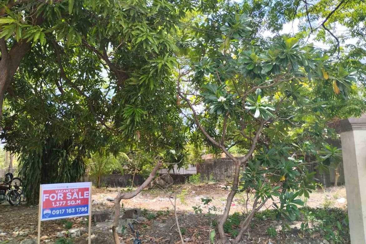 Land for Sale in Ugong, Pasig, Metro Manila – photo 3