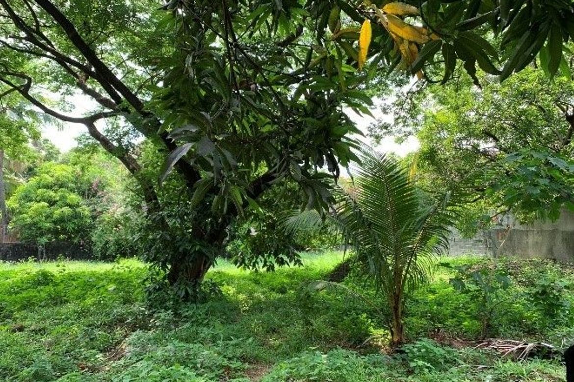 Land for Sale in Ugong, Pasig, Metro Manila – photo 4