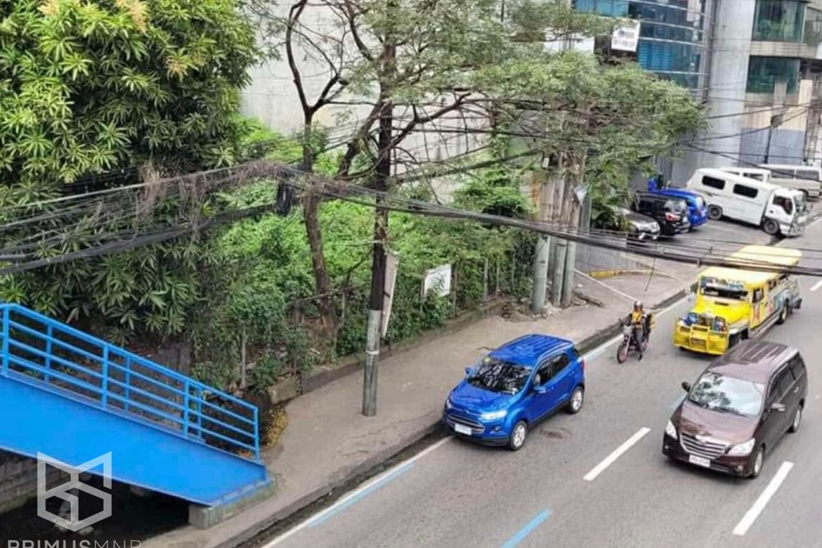 Land for Sale in Ugong, Pasig, Metro Manila