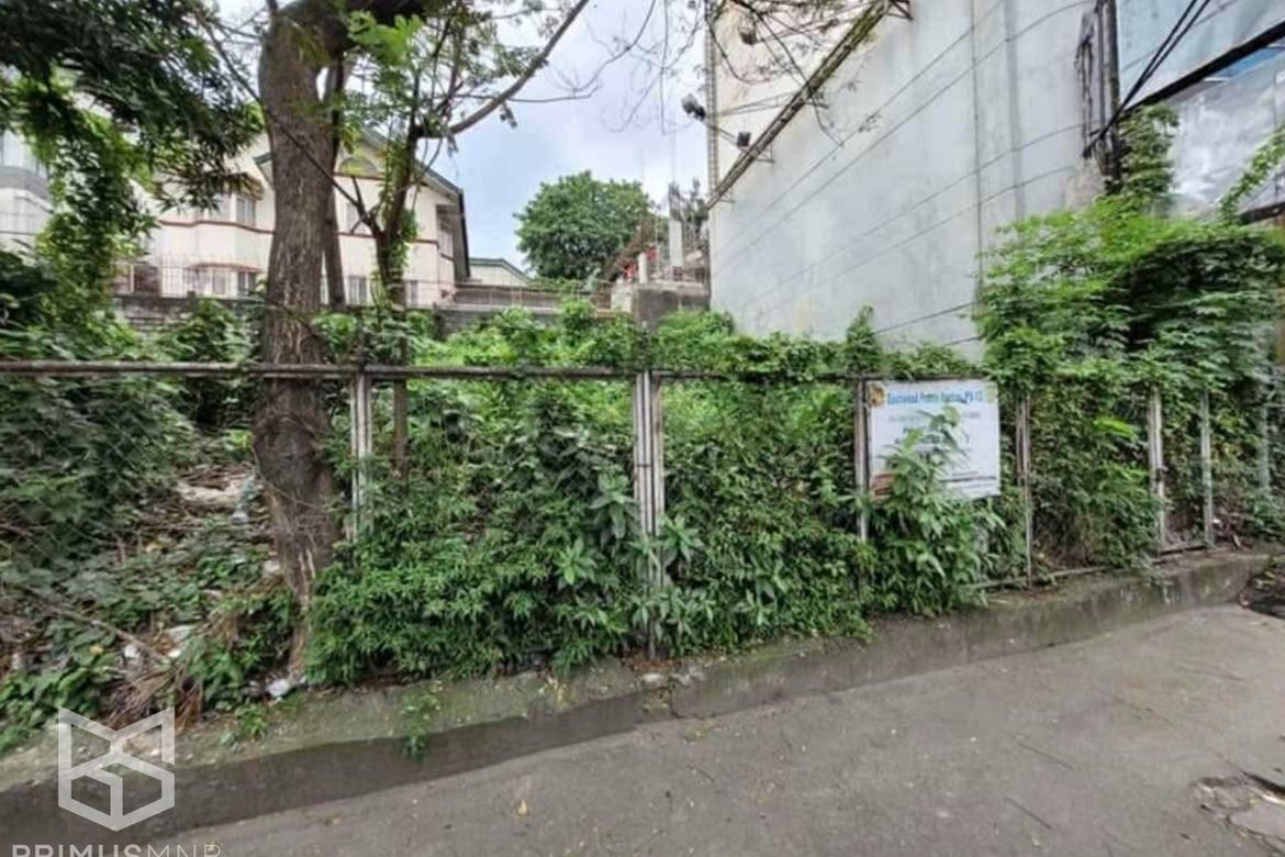 Land for Sale in Ugong, Pasig, Metro Manila – photo 5