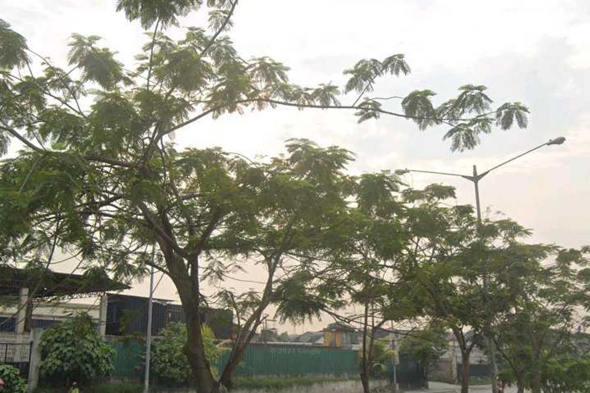 Land for Sale in Ugong, Valenzuela, Metro Manila – photo 4