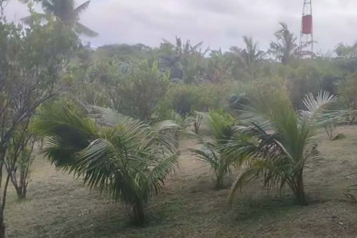 Land for Sale in Ulat, Silang, Cavite – photo 4