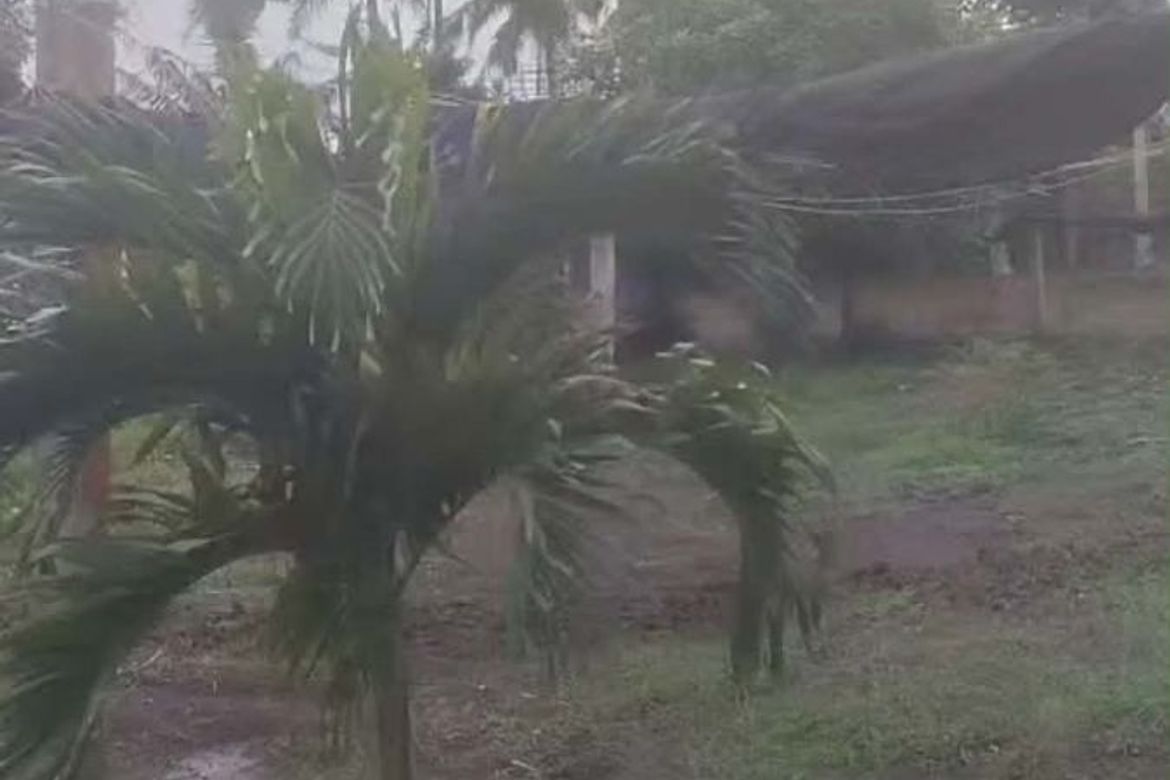 Land for Sale in Ulat, Silang, Cavite – photo 5