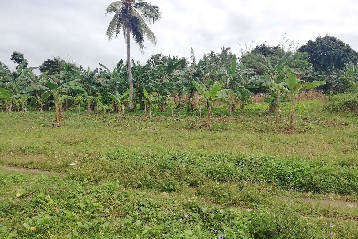Land for Sale in Union, San Francisco, Cebu – photo 6