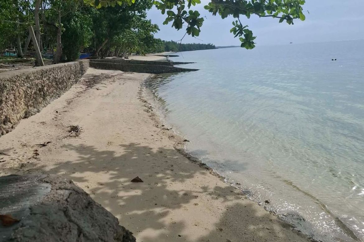 Land for Sale in Union, San Francisco, Cebu – photo 3