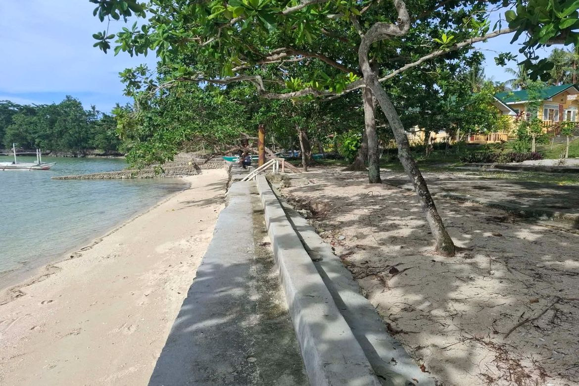 Land for Sale in Union, San Francisco, Cebu – photo 5