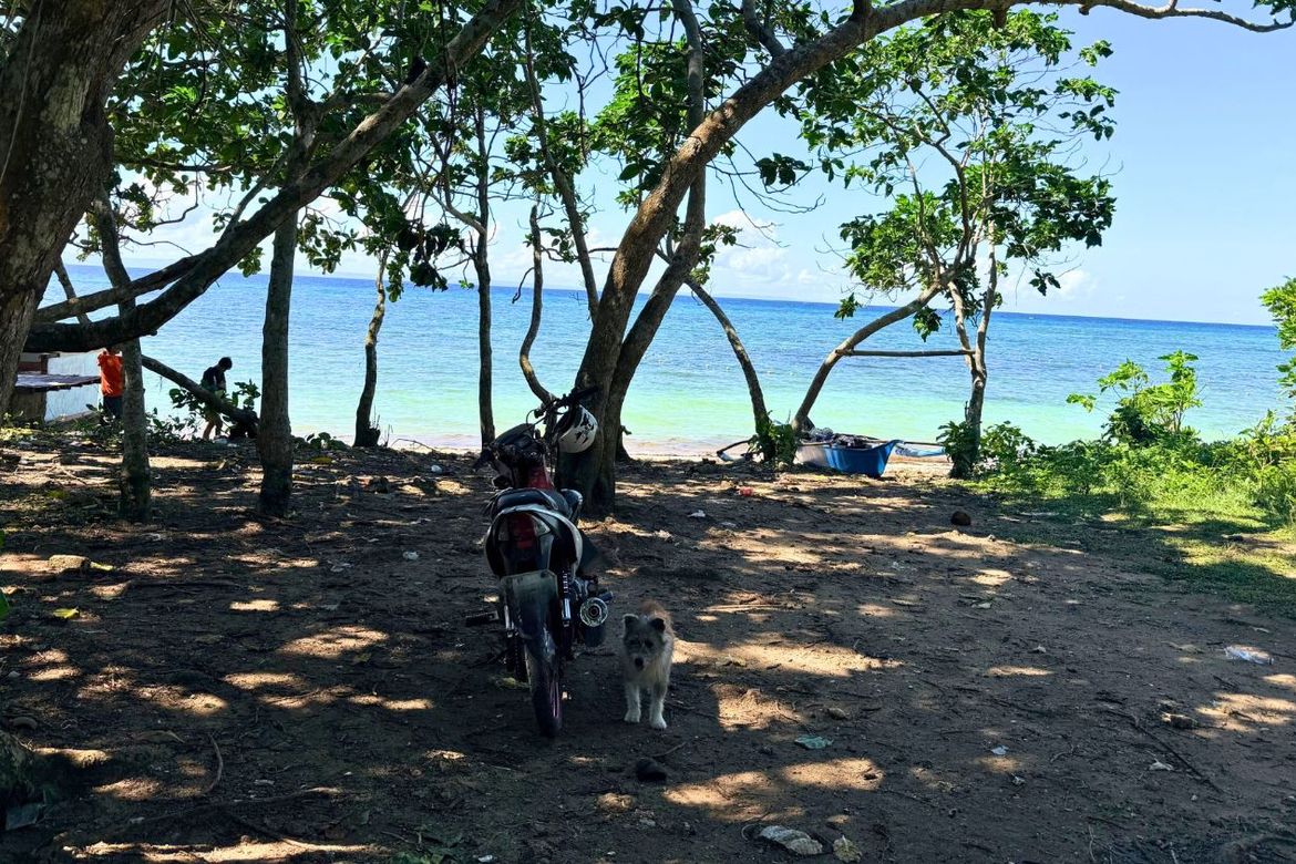 Land for Sale in Union, San Francisco, Cebu – photo 4