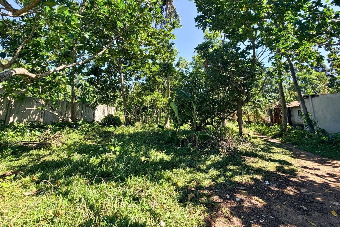 Land for Sale in Union, San Francisco, Cebu – photo 5