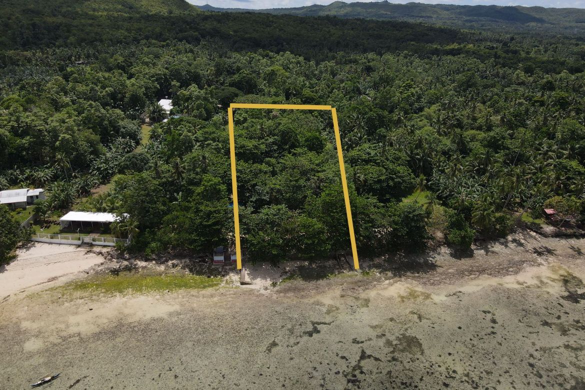 Land for Sale in Union, San Francisco, Cebu – photo 5