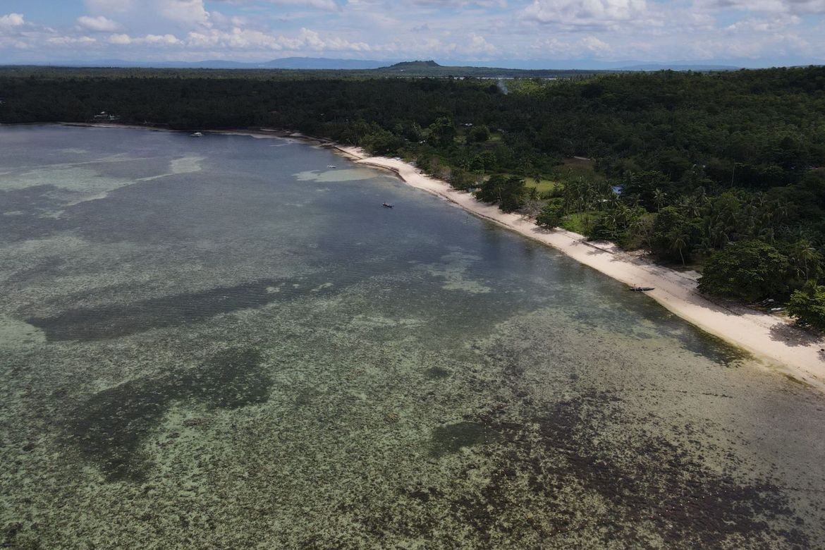 Land for Sale in Union, San Francisco, Cebu – photo 6