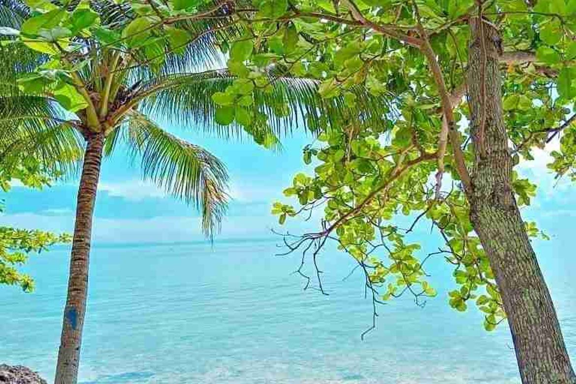 Land for Sale in Union, San Francisco, Cebu – photo 2