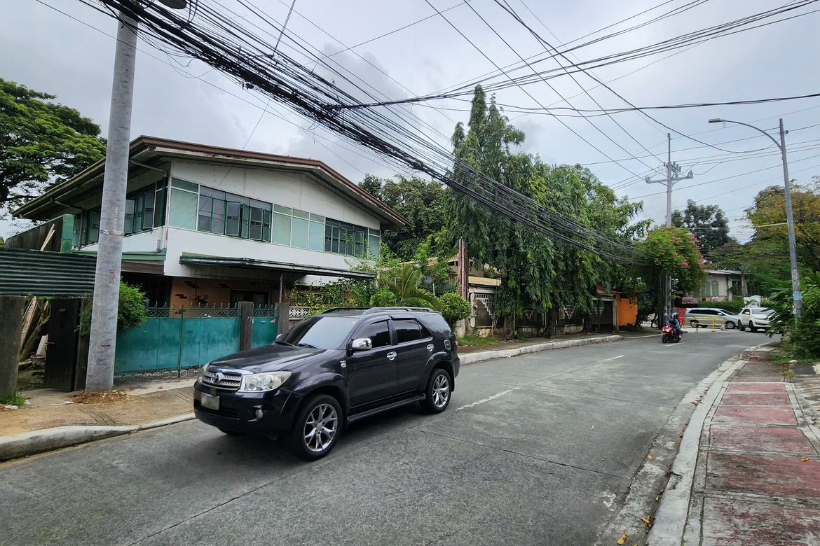 Land for Sale in Univ. Phil. Village, Quezon City, Metro Manila – photo 2