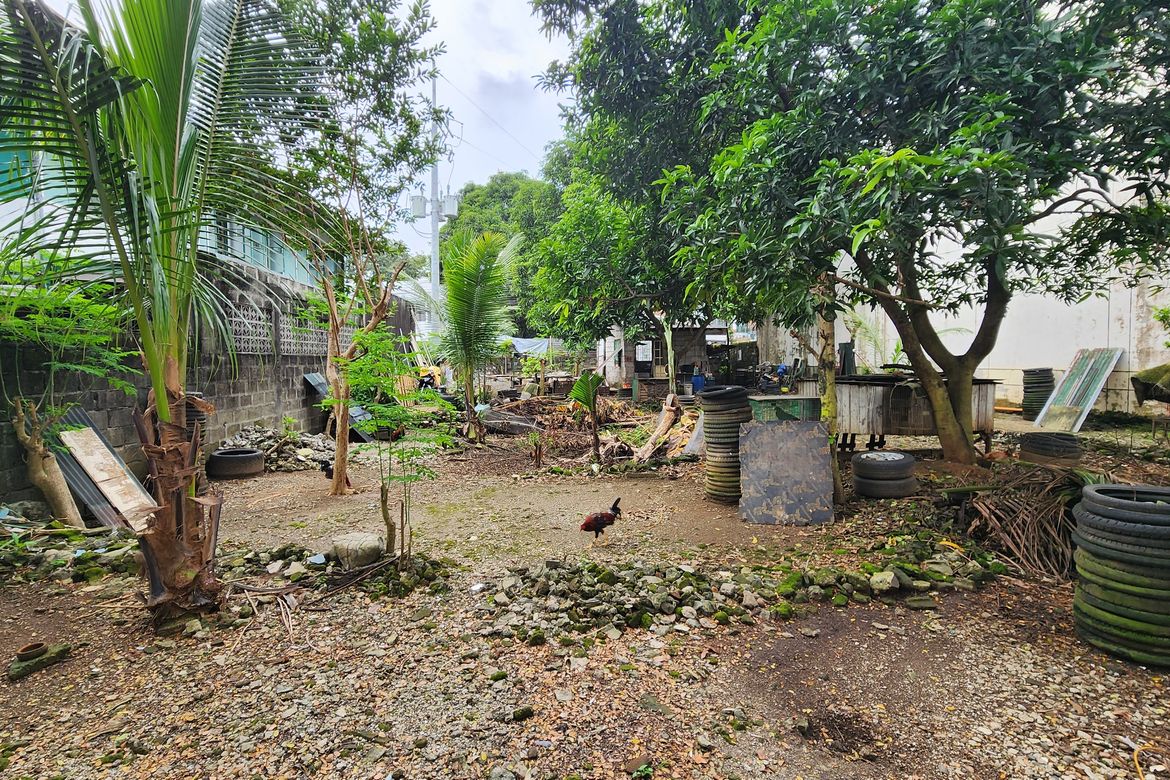 Land for Sale in Univ. Phil. Village, Quezon City, Metro Manila – photo 5