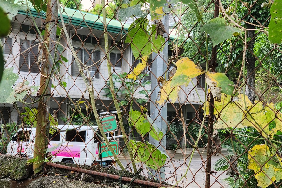 Land for Sale in Univ. Phil. Village, Quezon City, Metro Manila – photo 7