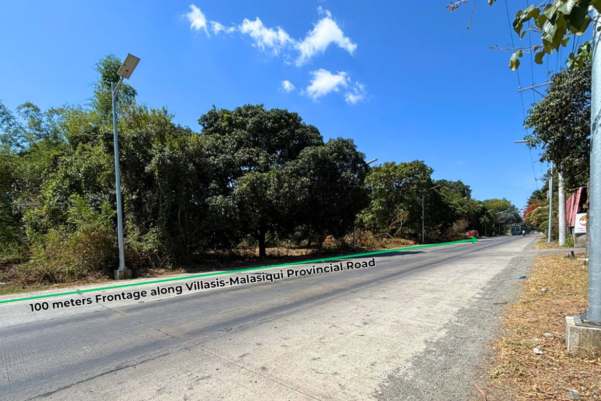 Land for Sale in Unzad, Villasis, Pangasinan – photo 2