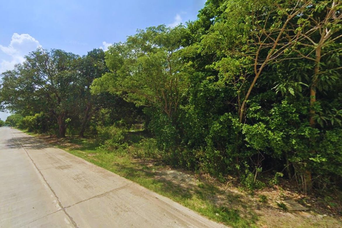 Land for Sale in Unzad, Villasis, Pangasinan – photo 5