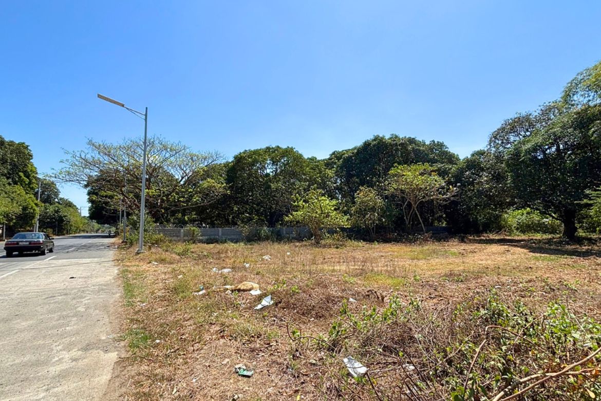 Land for Sale in Unzad, Villasis, Pangasinan – photo 8