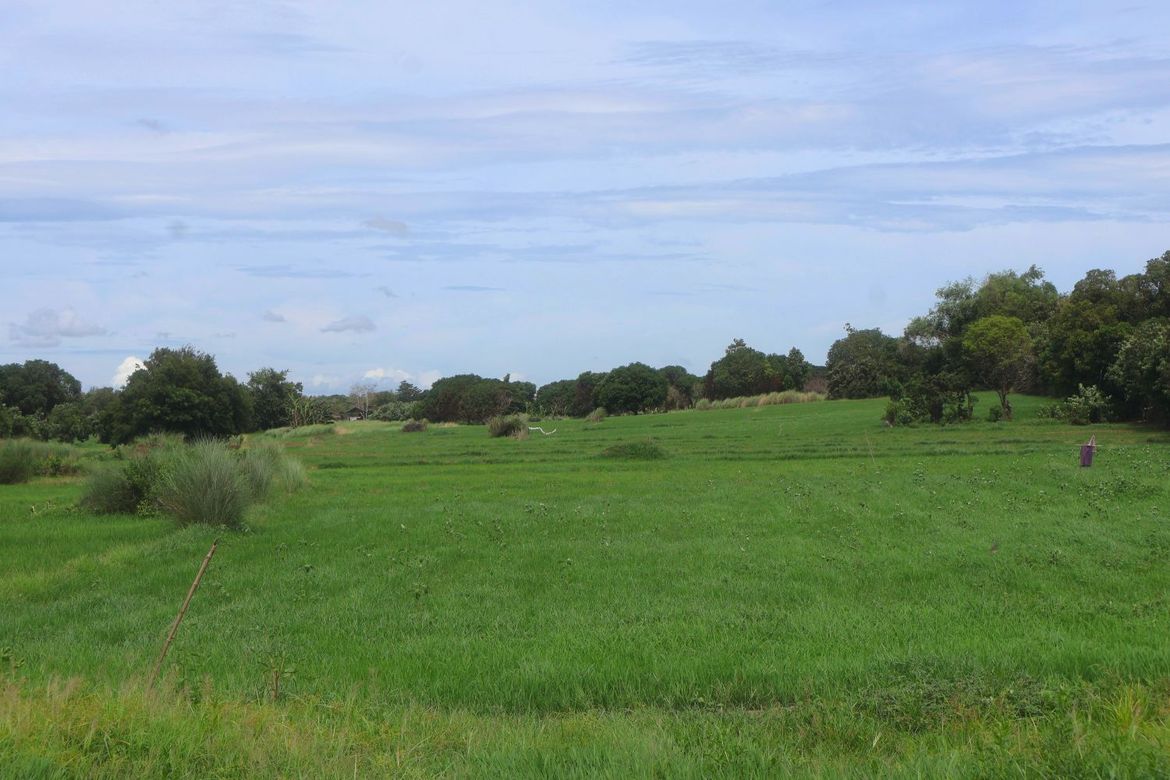 Land for Sale in Unzad, Villasis, Pangasinan – photo 2