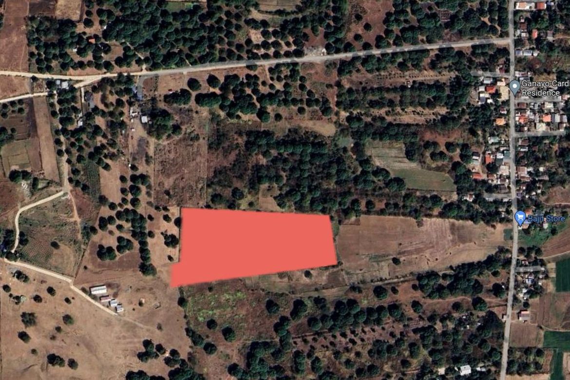 Land for Sale in Unzad, Villasis, Pangasinan – photo 6