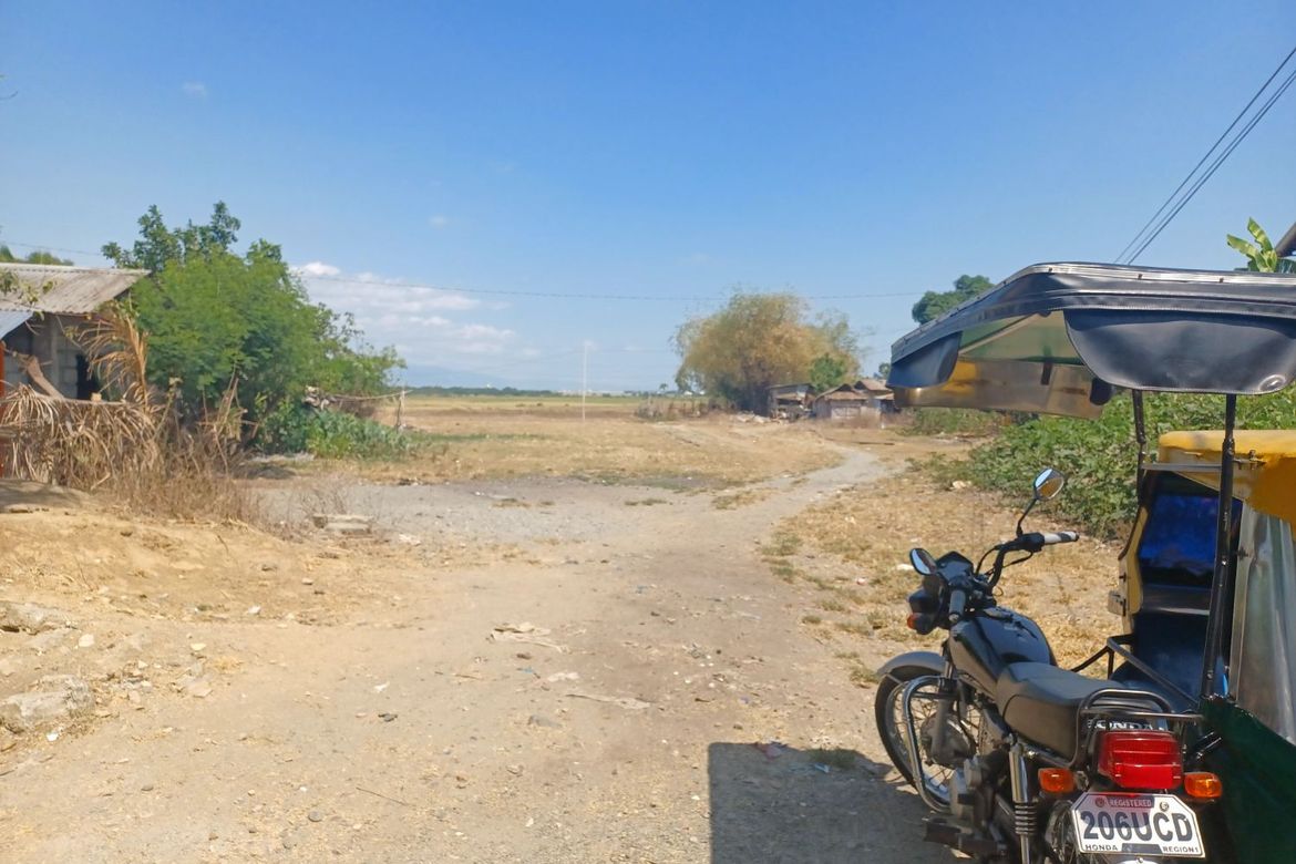 Land for Sale in Unzad, Villasis, Pangasinan – photo 2
