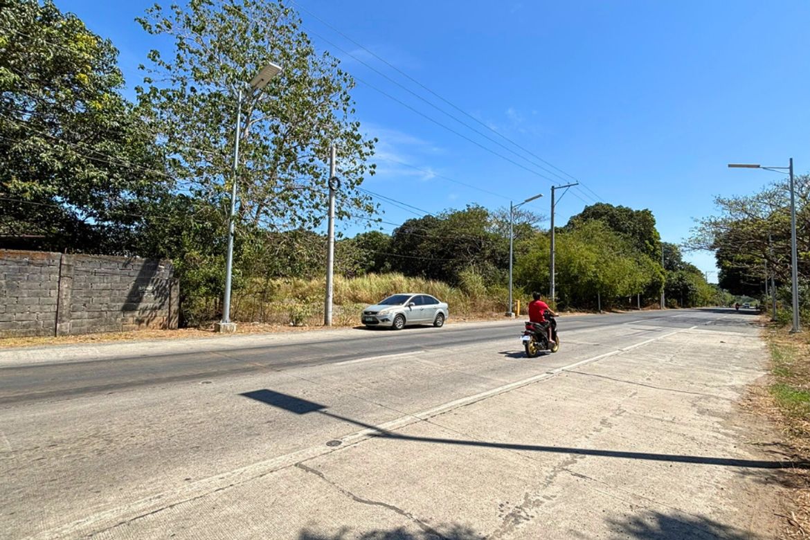 Land for Sale in Unzad, Villasis, Pangasinan – photo 7