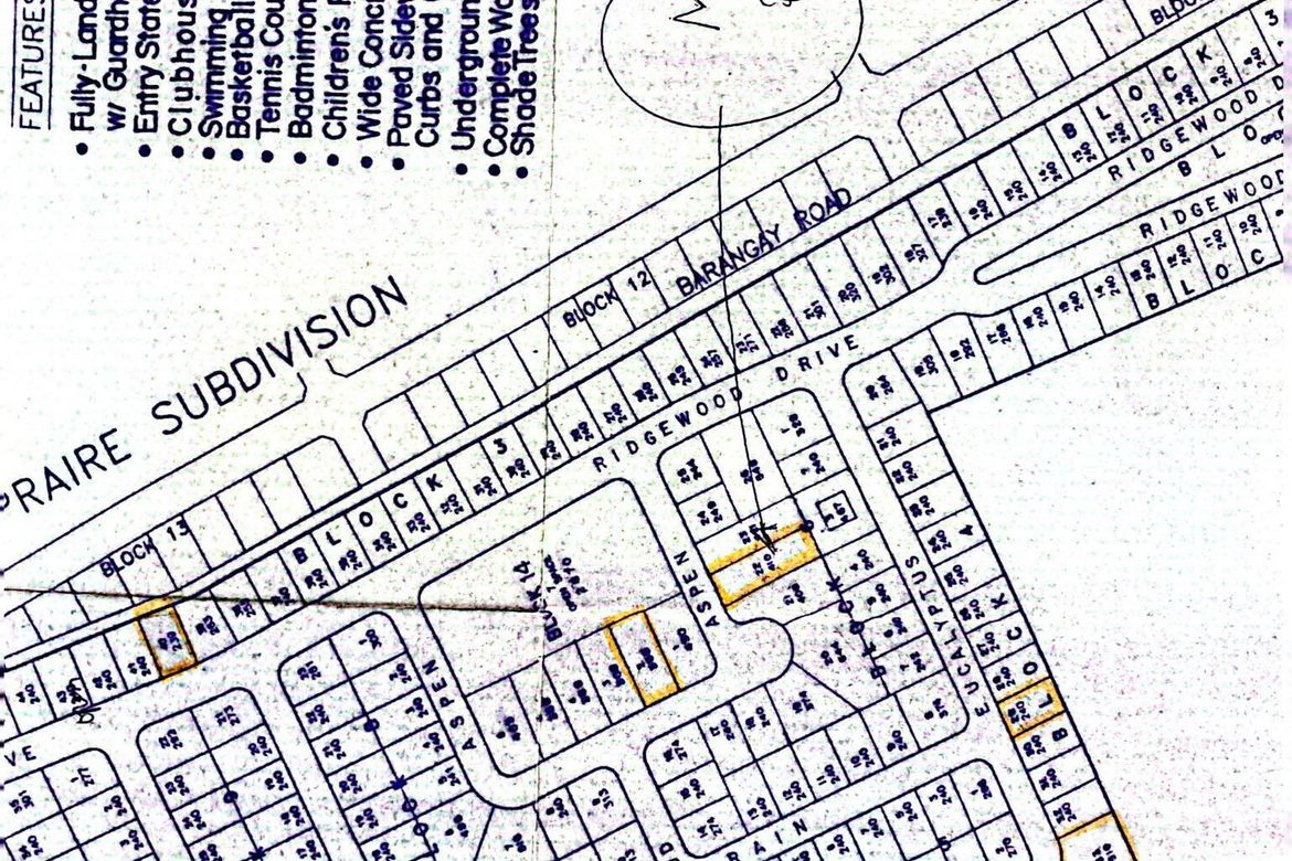 Land for Sale in Upli, Alfonso, Cavite – photo 2