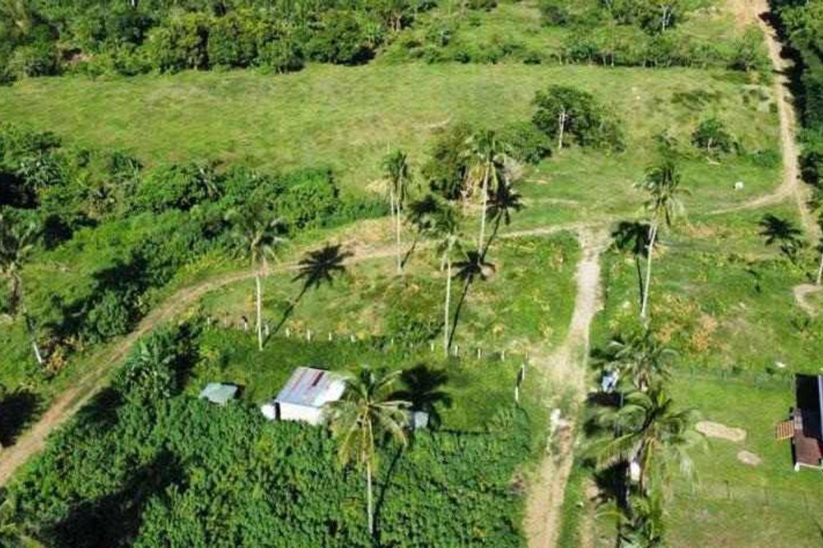 Land for Sale in Upli, Alfonso, Cavite – photo 2