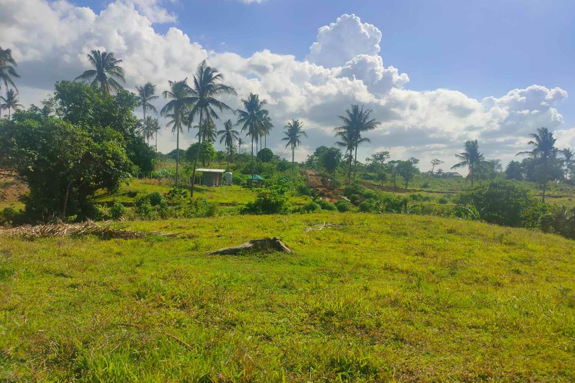 Land for Sale in Upli, Alfonso, Cavite – photo 5