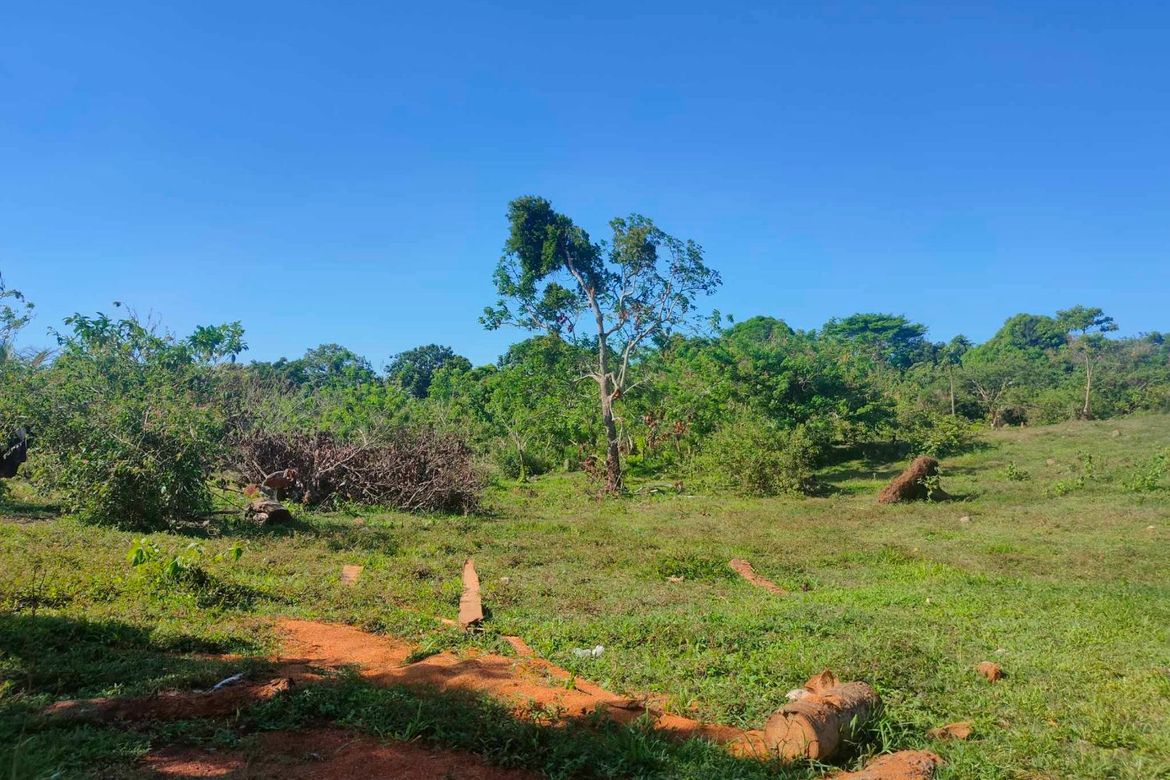 Land for Sale in Upli, Alfonso, Cavite – photo 6