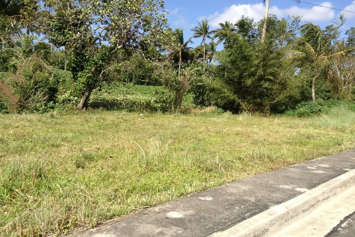 Land for Sale in Upli, Alfonso, Cavite – photo 6