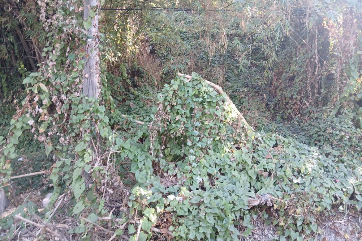 Land for Sale in Urbiztondo, San Juan, La Union – photo 2