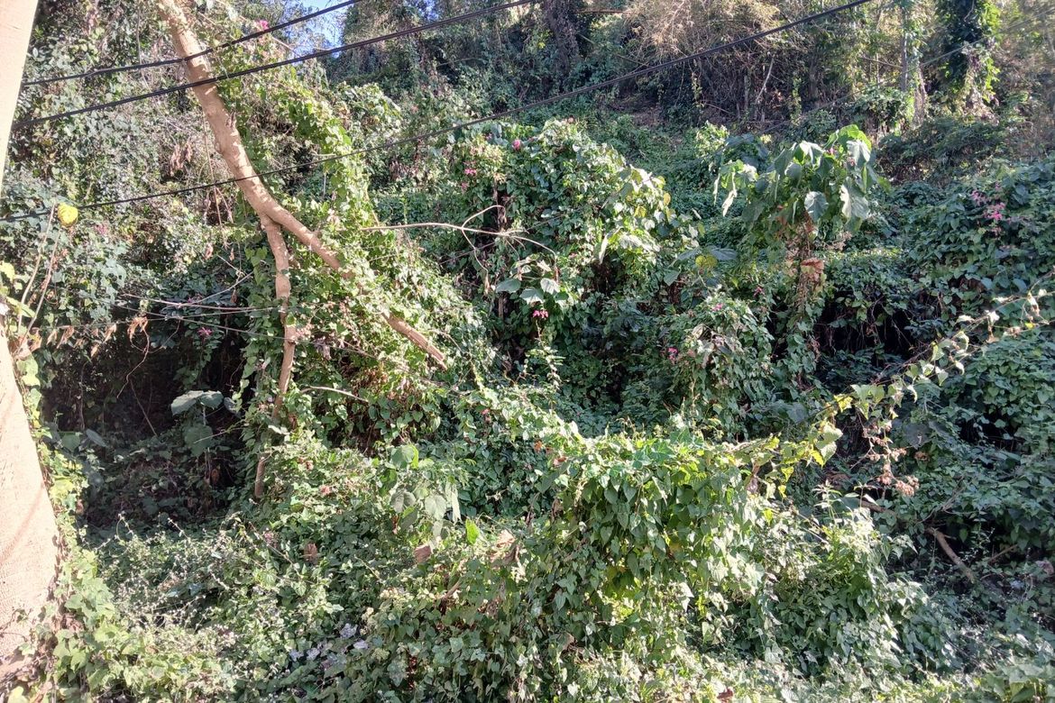Land for Sale in Urbiztondo, San Juan, La Union – photo 3