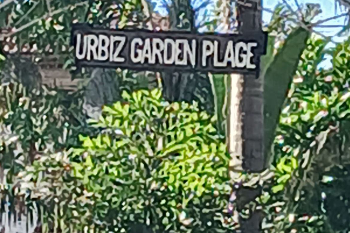 Land for Sale in Urbiztondo, San Juan, La Union – photo 4