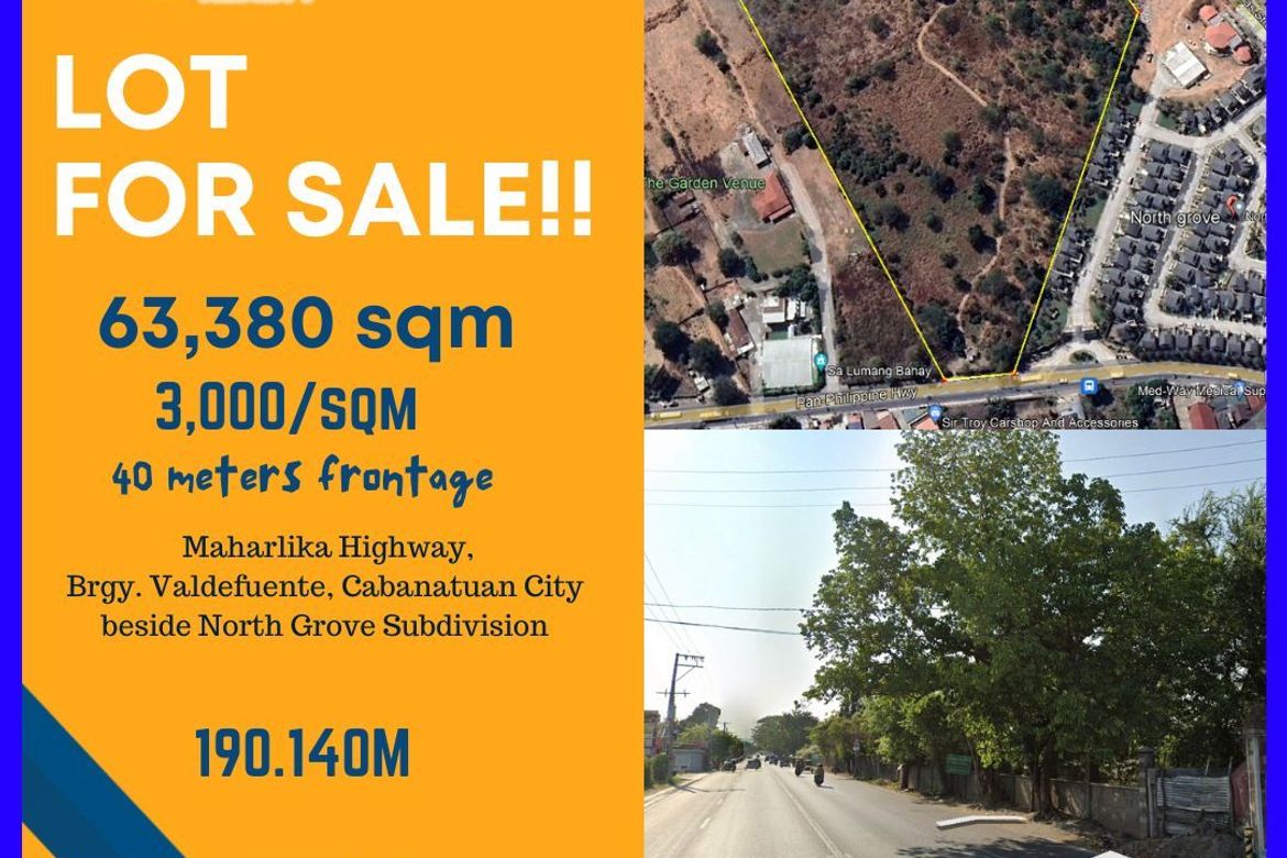 Land for Sale in Valdefuente, Cabanatuan, Nueva Ecija