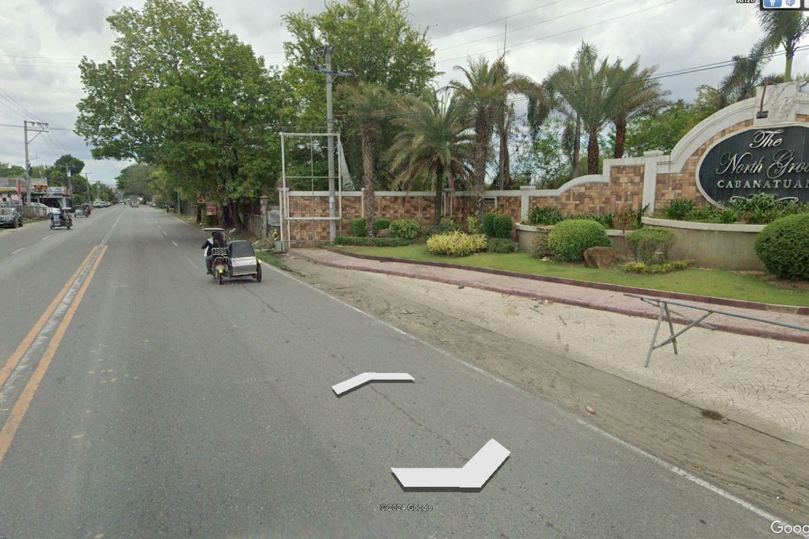 Land for Sale in Valdefuente, Cabanatuan, Nueva Ecija – photo 4