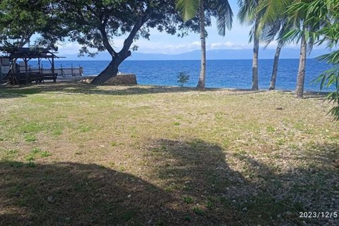 Land for Sale in Valencia, Alegria, Cebu – photo 2