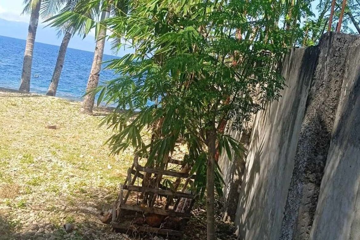 Land for Sale in Valencia, Alegria, Cebu – photo 5